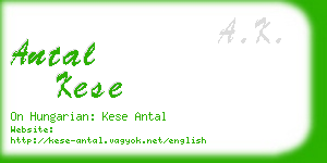 antal kese business card